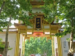 -白佛山景区