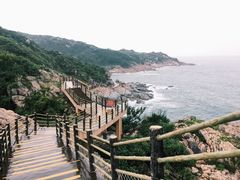 -广东惠东海龟国家级自然保护区