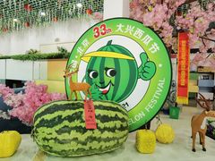 -西瓜小镇
