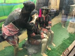 -海南槟榔谷黎苗文化旅游区