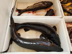 -江湖水乡铁锅炖魚(周庄嘉园店)