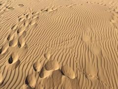 -亿利库布其七星湖沙漠生态旅游区