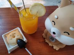 -柴犬高等学院·狗咖·柴犬售卖·宠物训练