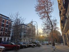 -普拉多博物馆