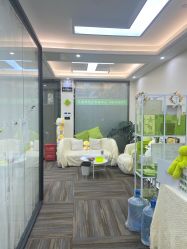 -凡碧诗毛孔清洁收细