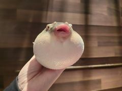 -永安鱼庄·镇江菜(东吴路店)