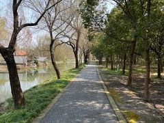 -广富林郊野公园