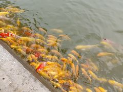 -河北村民俗体验园