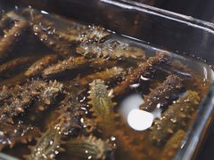 -棒棰岛辽参(长宁旗舰店)