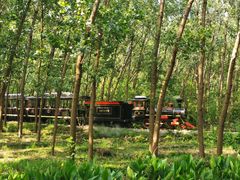 -合肥滨湖国家森林公园