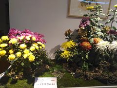 -汇龙潭