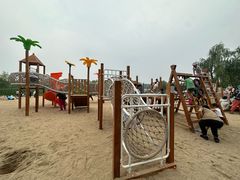 -大兴滨河森林公园