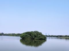 -海珠湖公园