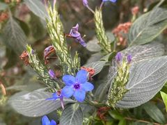 -国家植物园南园