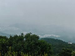 -梧桐山风景名胜区