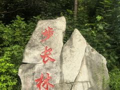 -北京十三陵国家森林公园蟒山景区