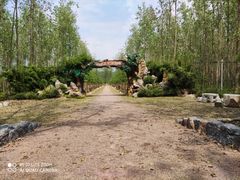 -合肥滨湖国家森林公园