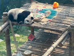 -大连森林动物园