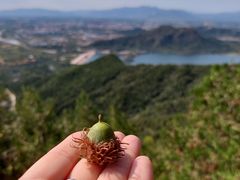-北京十三陵国家森林公园蟒山景区