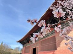 -善化寺