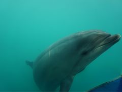 -北戴河圣蓝海洋公园