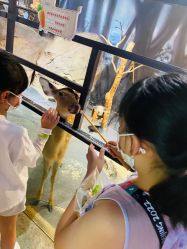 -酷嗒动物文化乐园(cutezoo西溪乐天城店)