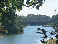 -佛山市三水区大南山森林公园