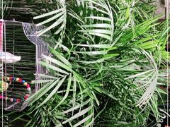 -798餐厅(任丘路店)