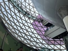 -陕西自然博物馆