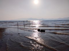 -月亮湾湿地公园