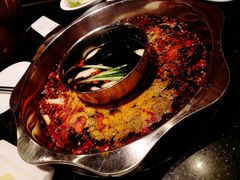 -小天鹅火锅·一线江景洪鼎旗舰店(洪崖洞店)