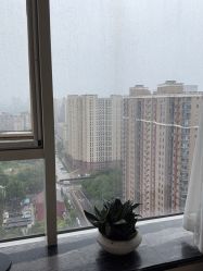 -产后帮产后修复(首城国际店)