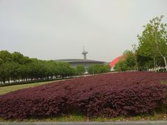 -南京奥林匹克体育中心-体育馆