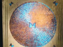 -上海昆虫博物馆