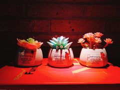 -8 Hearts Coffee(悟锦世纪大楼店)