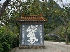 -靖西鹅泉风景区