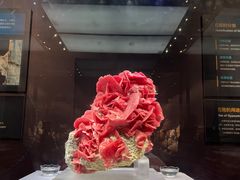 -湖南省地质博物馆