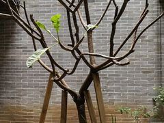 -归觅·西关小姐人文艺术馆(荔枝湾店)