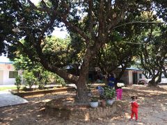 -蚝乡农庄(铁涌赤岸店)