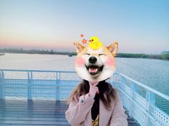 -大兴滨河森林公园