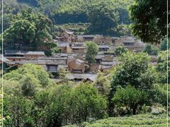 -杨家堂村