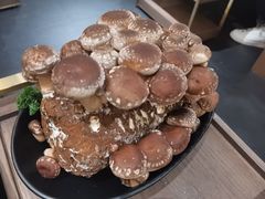 有机松香菇-捞王锅物料理(济南万象城店)