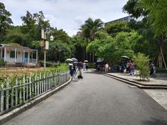 -晓港公园