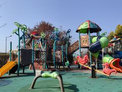 -两河城市森林公园