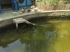 -南宫五洲植物乐园