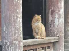 -大学习巷清真寺