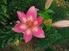 android_upload_pic-蠡湖中央公园