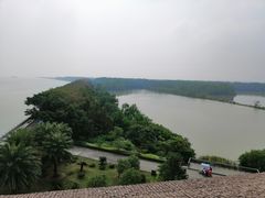 -大湾区中央湿地公园