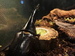 -太平洋海底世界