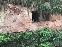 -乐山市博物馆